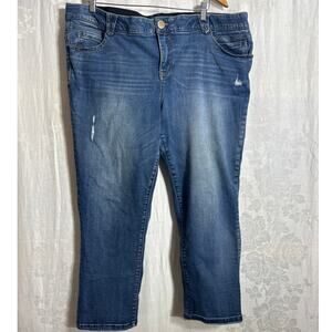 Democracy Jeans 22W AB Solution Blue Denim Straight Leg Elastic Waist Light Wash